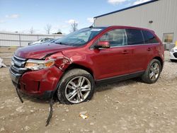 Ford Edge Limited salvage cars for sale: 2013 Ford Edge Limited