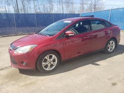 Ford Focus salvage cars for sale: 2014 Ford Focus SE