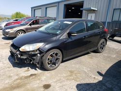Salvage cars for sale at Chambersburg, PA auction: 2013 Ford Focus SE