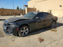 Dodge Charger salvage cars for sale: 2016 Dodge Charger SXT