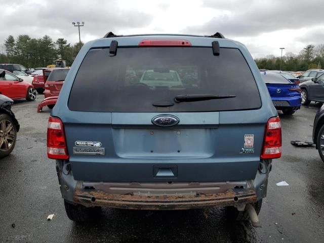 2011 Ford Escape XLT