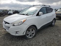 Salvage cars for sale from Copart Eugene, OR: 2013 Hyundai Tucson GLS