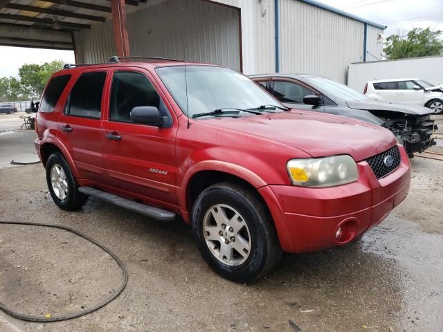 2007 Ford Escape XLT