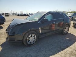 Salvage cars for sale at Indianapolis, IN auction: 2011 Cadillac SRX Luxury Collection