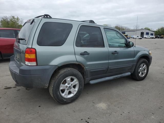 2007 Ford Escape XLT