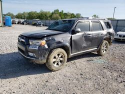 Salvage cars for sale at Lawrenceburg, KY auction: 2021 Toyota 4runner SR5