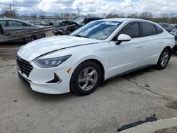 Salvage cars for sale at Louisville, KY auction: 2021 Hyundai Sonata SE
