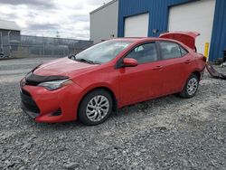 Salvage cars for sale from Copart Elmsdale, NS: 2017 Toyota Corolla L