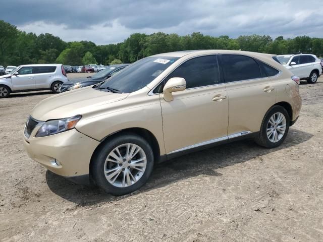 2010 Lexus RX 450