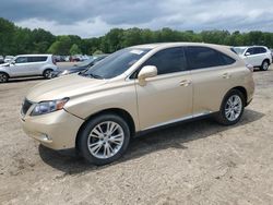 Salvage cars for sale from Copart Conway, AR: 2010 Lexus RX 450