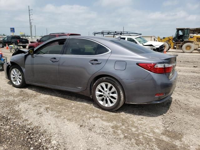 2013 Lexus ES 300H