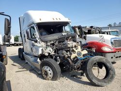 Freightliner salvage cars for sale: 2019 Freightliner Cascadia 126