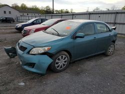 Salvage cars for sale at York Haven, PA auction: 2009 Toyota Corolla Base