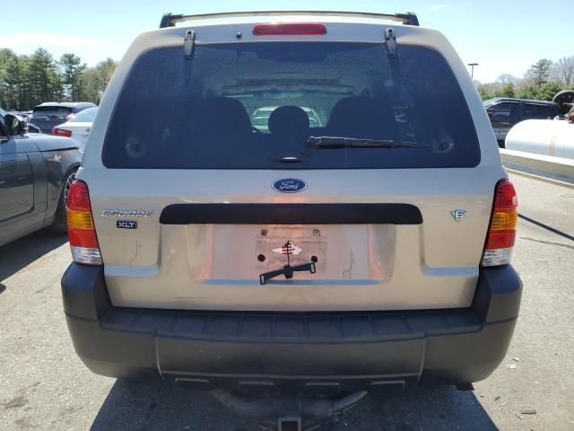 2007 Ford Escape XLT