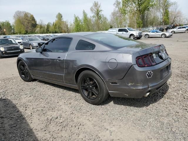 2014 Ford Mustang