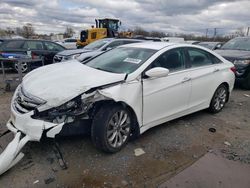 Hyundai Sonata SE salvage cars for sale: 2013 Hyundai Sonata SE