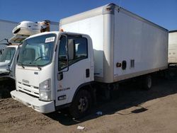 Salvage trucks for sale at Brighton, CO auction: 2011 Isuzu NPR