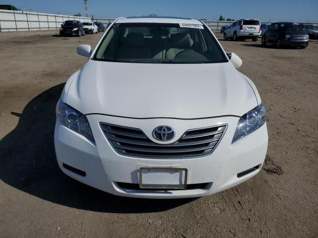 2009 Toyota Camry Hybrid