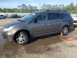Salvage cars for sale at Harleyville, SC auction: 2012 Honda Odyssey EXL