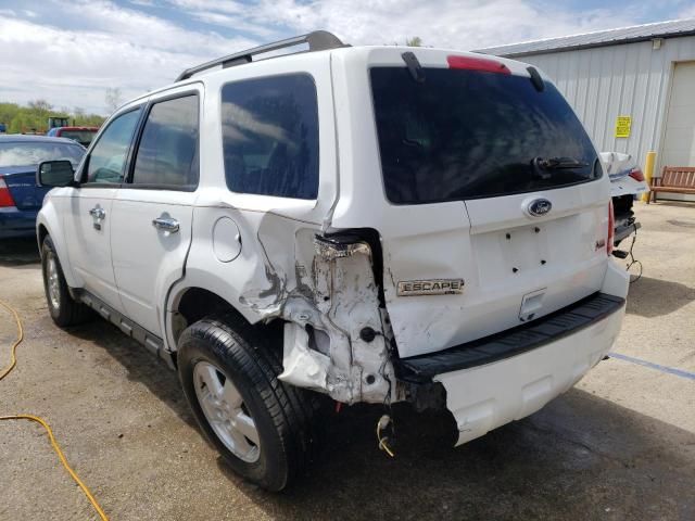 2010 Ford Escape XLT