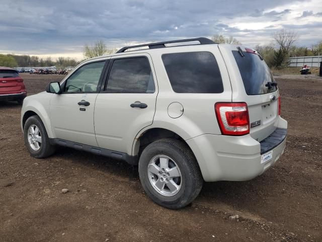 2009 Ford Escape XLT