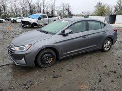 Salvage cars for sale at Baltimore, MD auction: 2019 Hyundai Elantra SEL