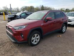 Toyota Rav4 XLE salvage cars for sale: 2020 Toyota Rav4 XLE