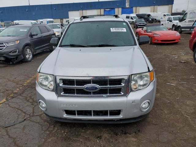 2009 Ford Escape XLT