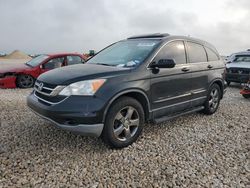 Salvage cars for sale from Copart Temple, TX: 2010 Honda CR-V EXL