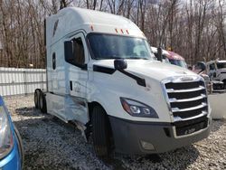 Salvage trucks for sale at West Warren, MA auction: 2019 Freightliner Cascadia 126