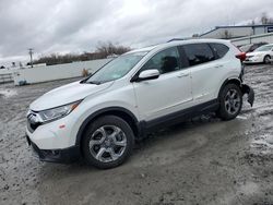 Salvage cars for sale at Albany, NY auction: 2019 Honda CR-V EX