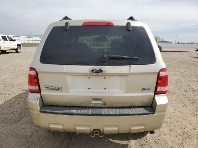 2010 Ford Escape XLT