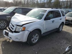 Salvage cars for sale at North Billerica, MA auction: 2010 Ford Escape Hybrid