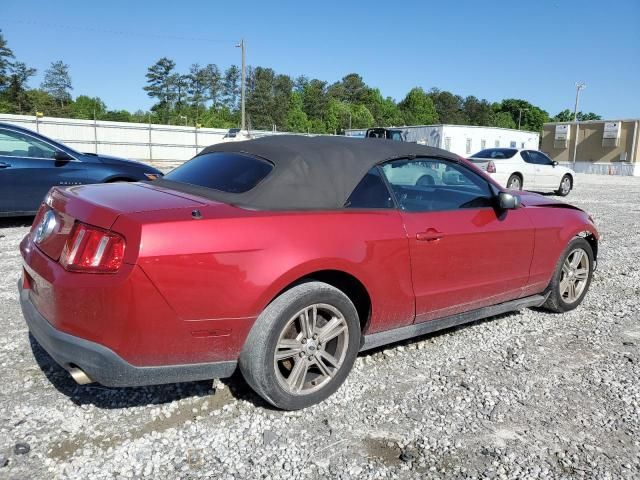 2010 Ford Mustang