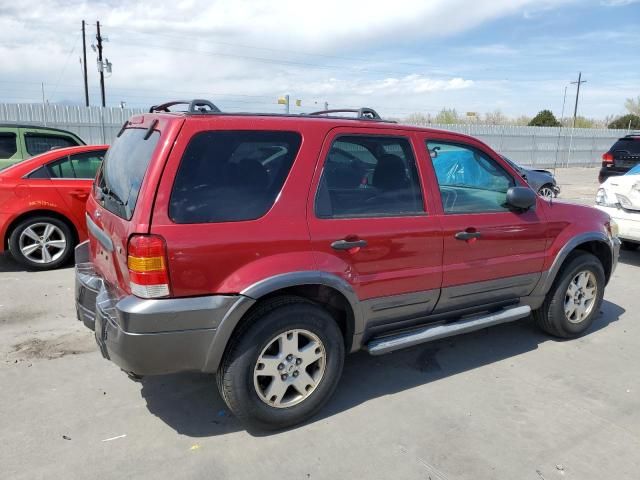 2006 Ford Escape XLT