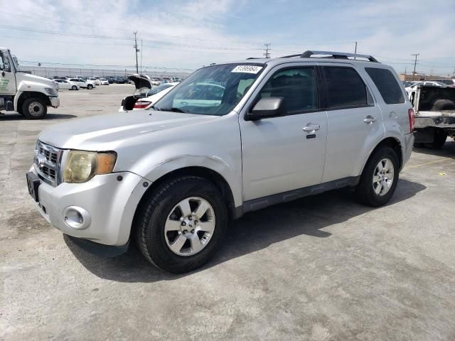 2011 Ford Escape Limited