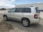 2006 Toyota Highlander Hybrid