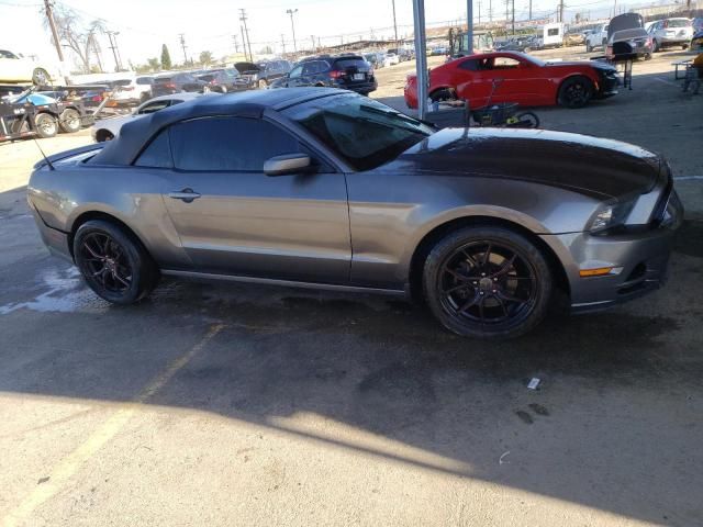 2014 Ford Mustang