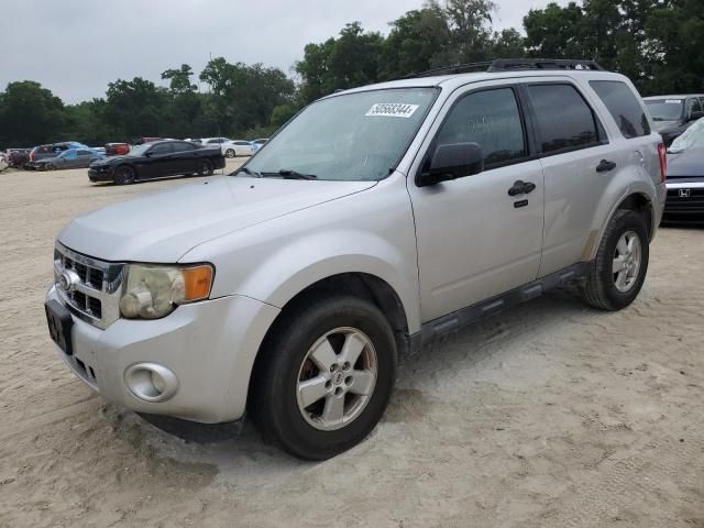 2010 Ford Escape XLT