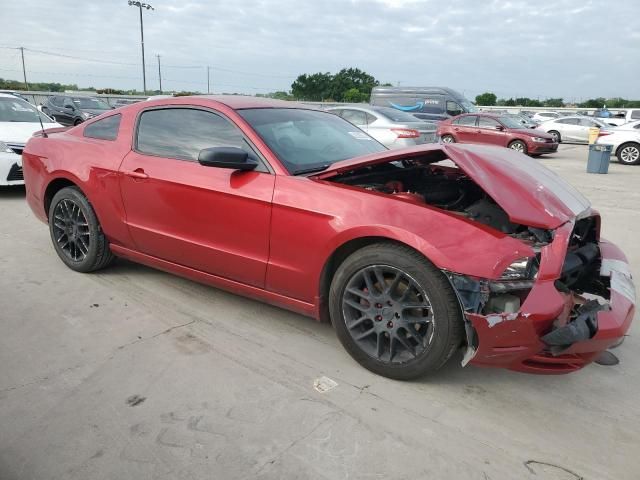 2013 Ford Mustang