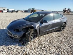 Salvage cars for sale at Temple, TX auction: 2023 Tesla Model 3