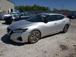 Salvage cars for sale at Lawrenceburg, KY auction: 2020 Nissan Maxima SV