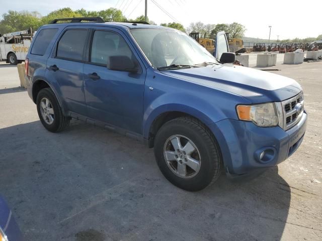 2010 Ford Escape XLT