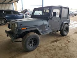 Jeep salvage cars for sale: 1995 Jeep Wrangler / YJ S