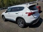 2023 Hyundai Santa FE SEL Premium