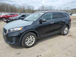 KIA Sorento L Vehiculos salvage en venta: 2019 KIA Sorento L