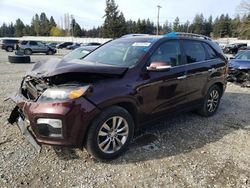 Salvage cars for sale at Graham, WA auction: 2012 KIA Sorento SX