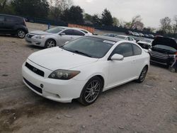 Salvage cars for sale at Madisonville, TN auction: 2009 Scion TC