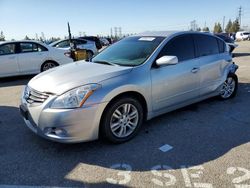 Salvage cars for sale from Copart Rancho Cucamonga, CA: 2010 Nissan Altima Base