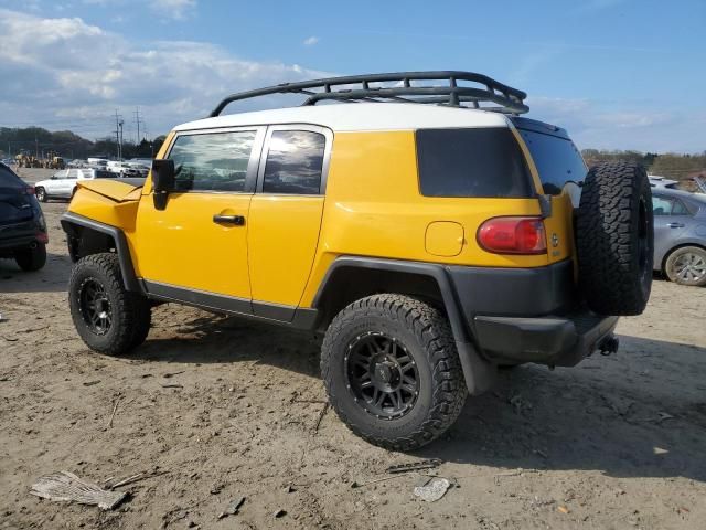 2007 Toyota FJ Cruiser